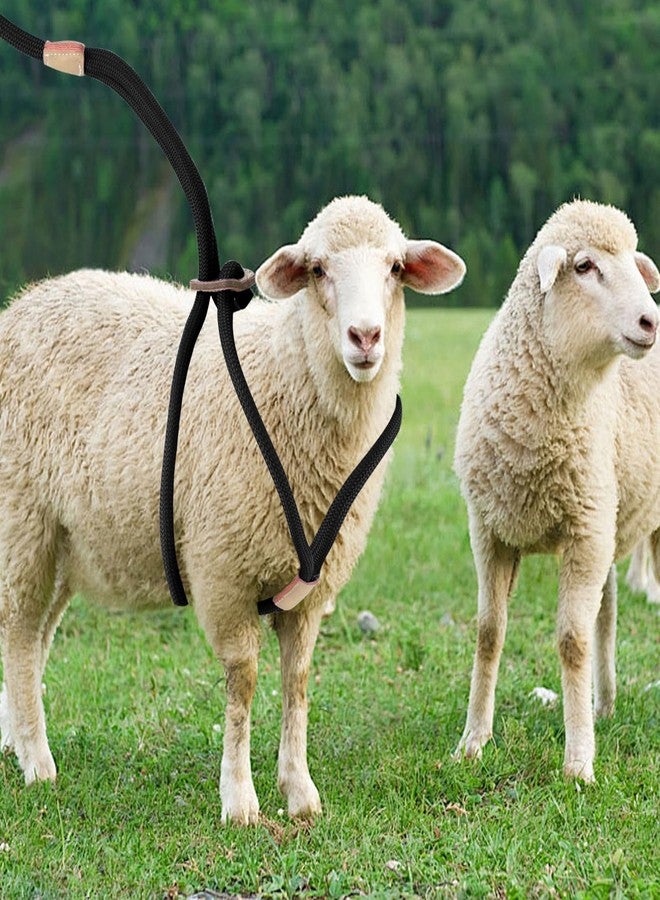 MHLLGN Goat Harness, Goat Supplies, Goat Harness for Walking, Washable Goat Leash, Goat Accessories, Livestock Supplies for Goats, Sheeps - Image 4